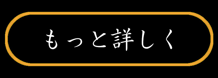 詳しく見る